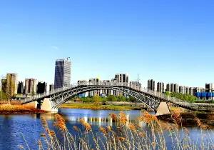 Qunli Bund Ecological Wetland