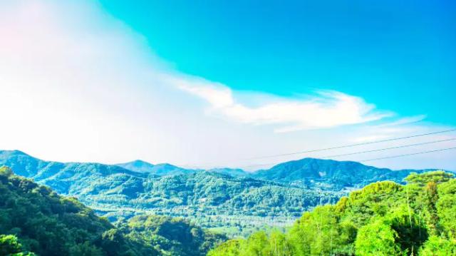 Maofeng Mountain