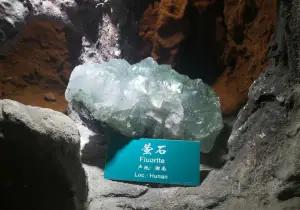 Heilongjiang Geological Museum