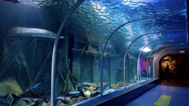 Guanlan Ocean World