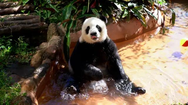 Hainan Tropical Wildlife Park And Botanical Garden