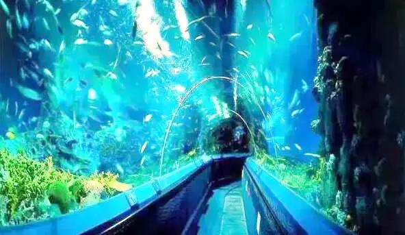 Yangzhou Polar Ocean World