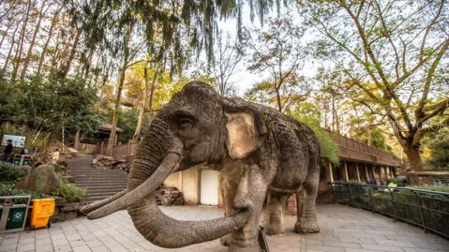 Hangzhou Zoo