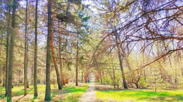 Heilongjiang Forest Botanical Garden