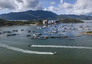 Daya Bay Aotou Nangang Recreational Fishery