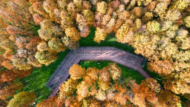 Pujiang Country Park